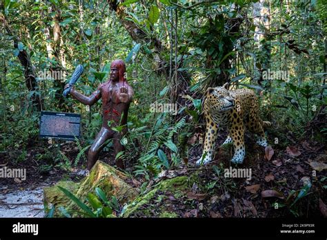  Curupira: Ein widersprüchlicher Beschützer des Amazonas-Regenwaldes!